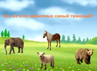 Развивающие игры для детей от 4 до 6 лет