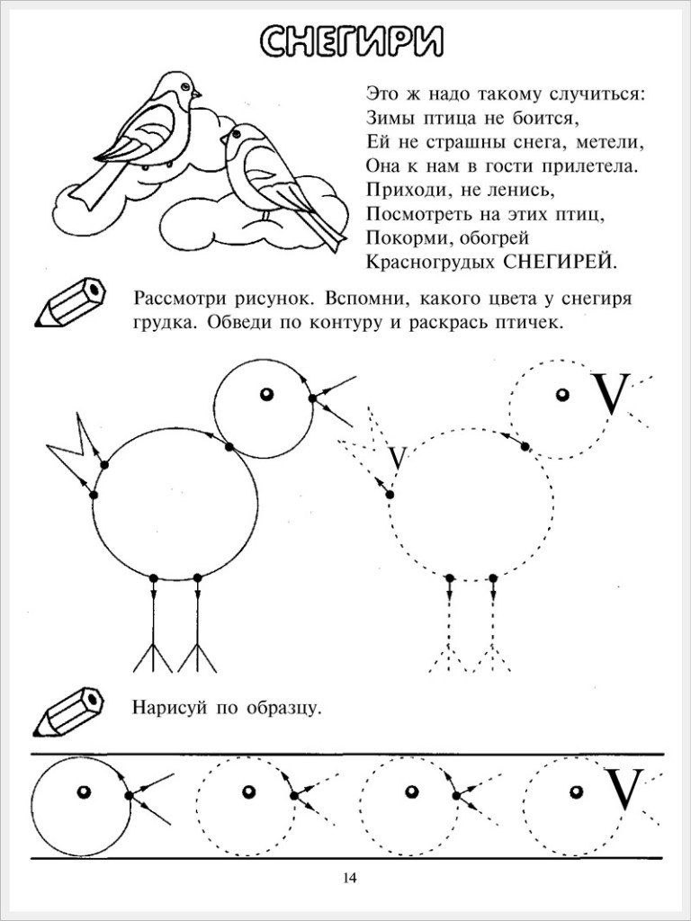 учимся рисовать снегирей