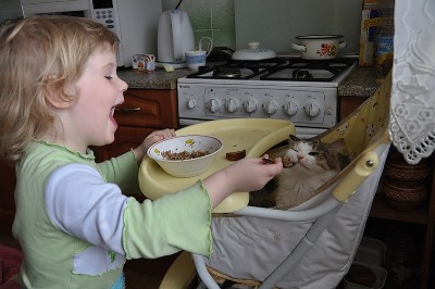 Уход за кошкой