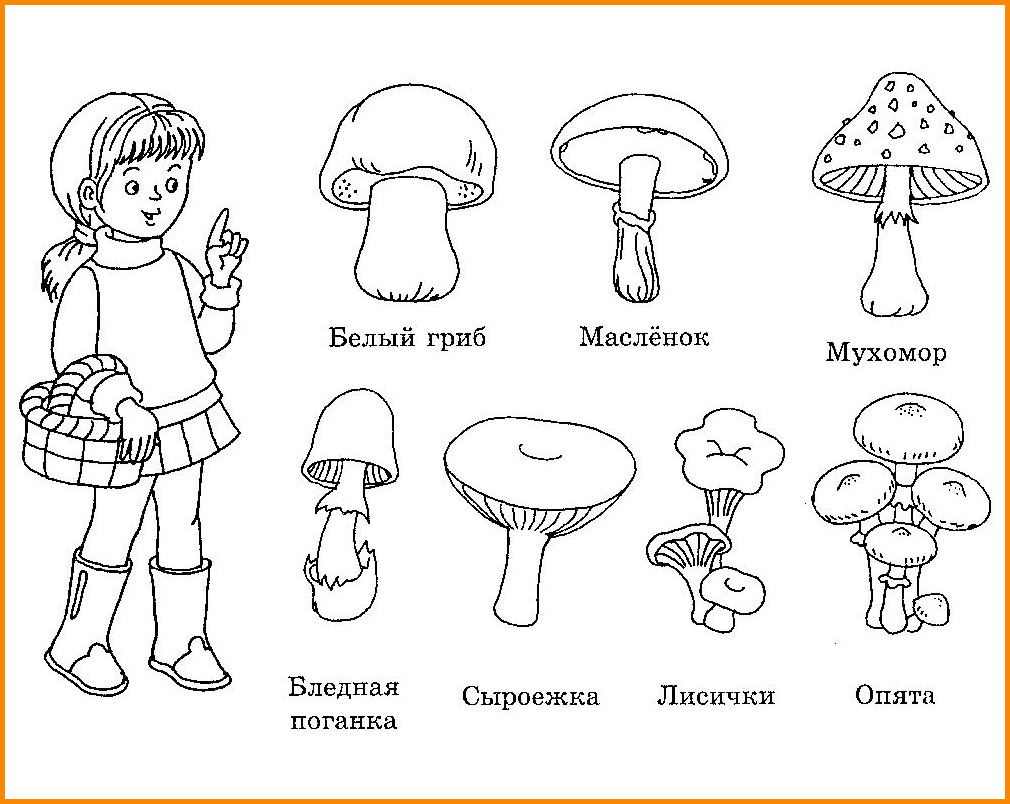 Правила безопасности с грибами