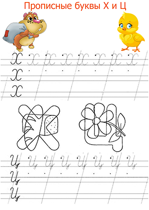 Буквы Х и Ц