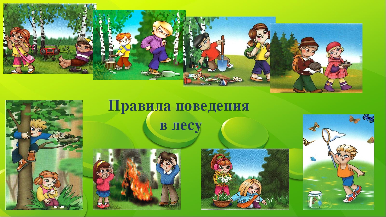Чего нельзя делать в лесу?