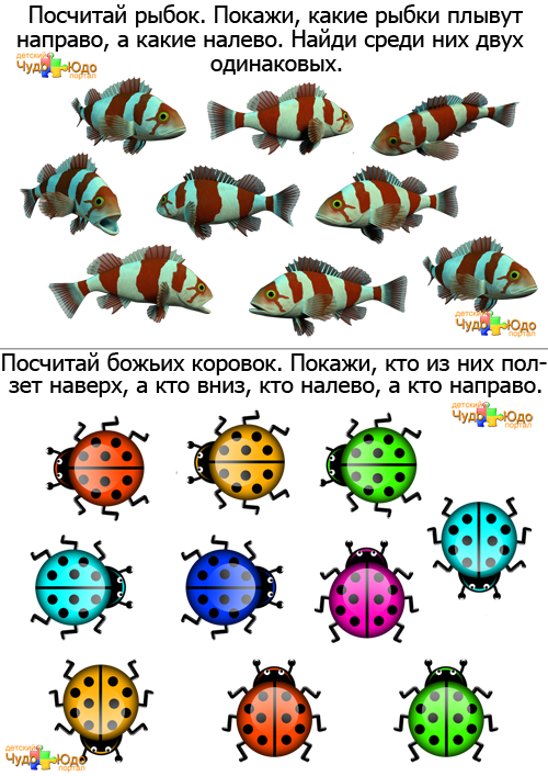 Логические задачи для детей 