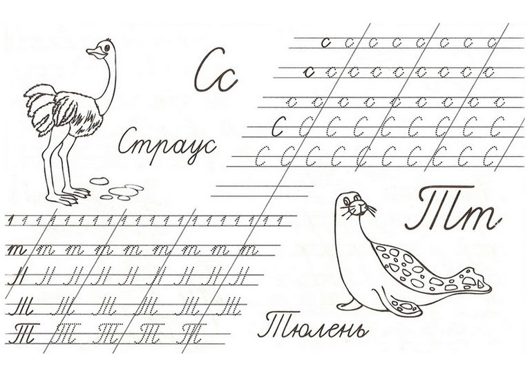 прописи букв с,т