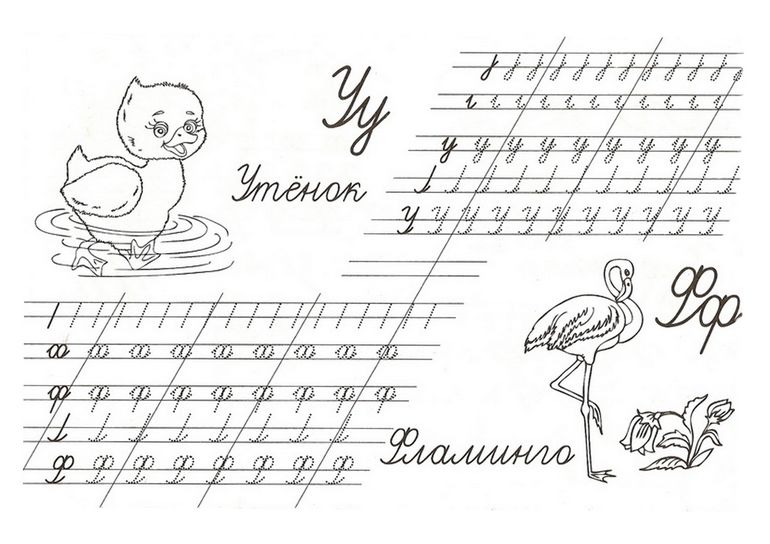 прописи букв у,ф