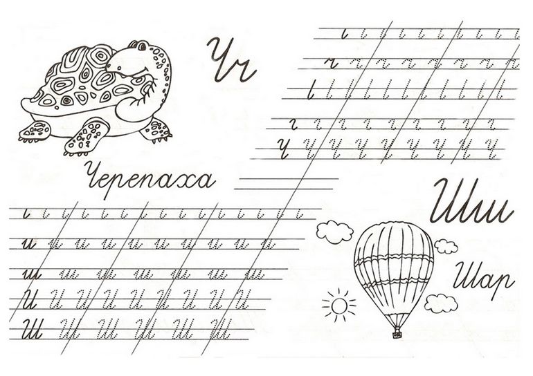 прописи букв ч,ш