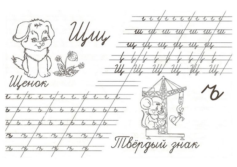 прописи букв щ,ъ