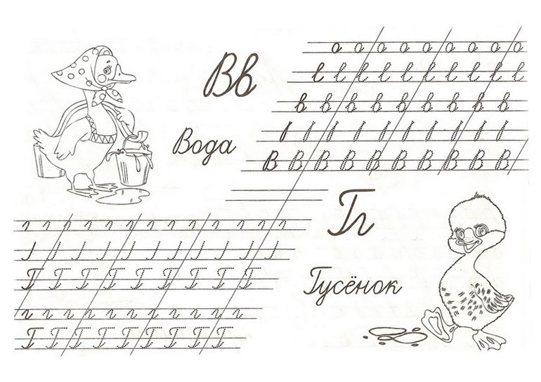 прописи букв в,г