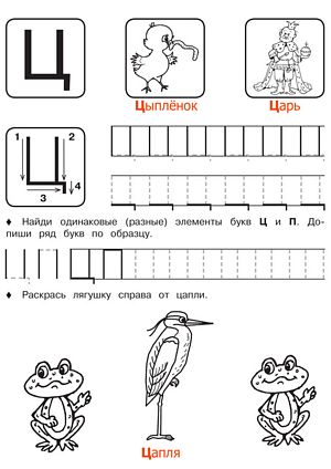 Буква Ц - Русские прописи для детей для распечатки