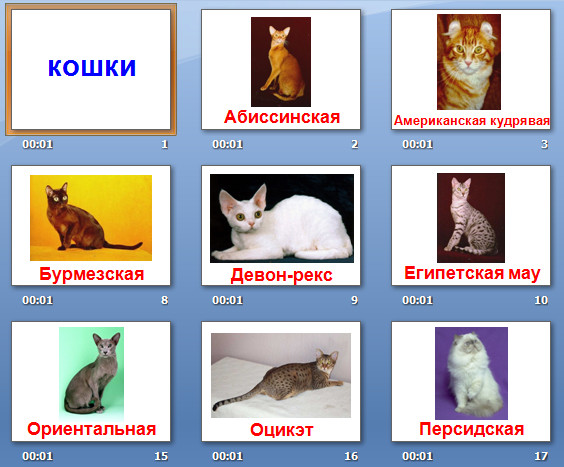 презентация на тему кошки