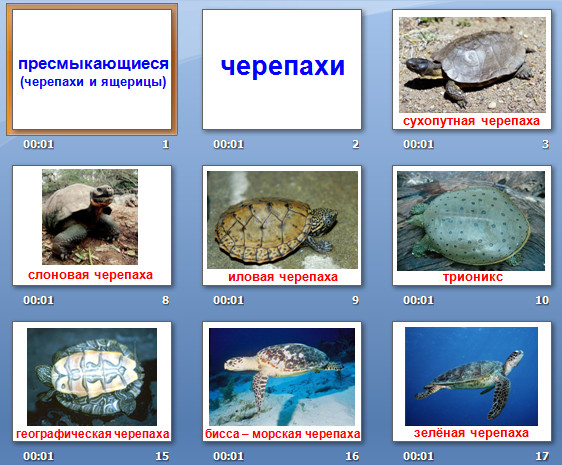 презентация пресмыкающиеся