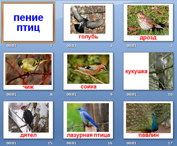 звуки пения птиц