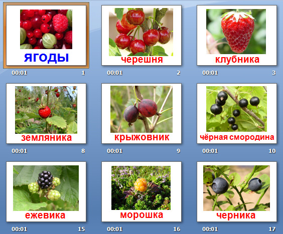 презентация ягоды