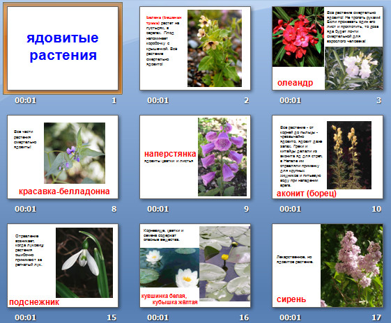ядовитые растения презентация