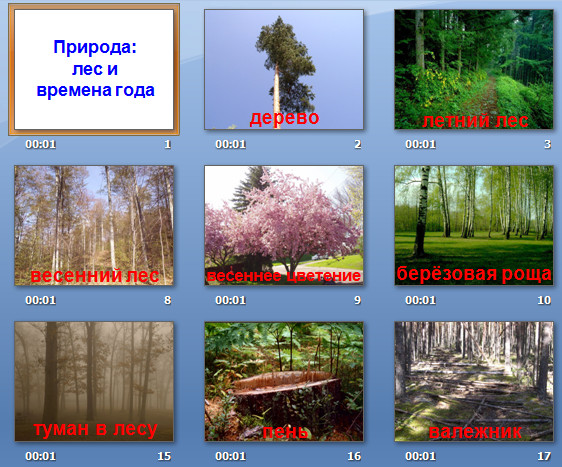 презентация времена года