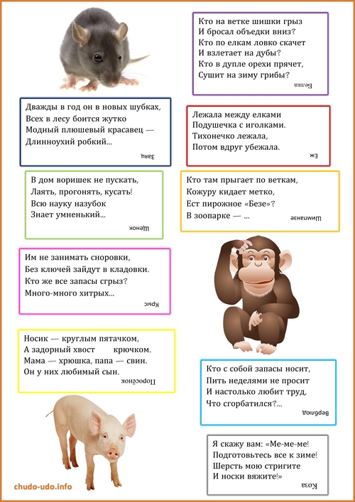 Загадки про животных для детей