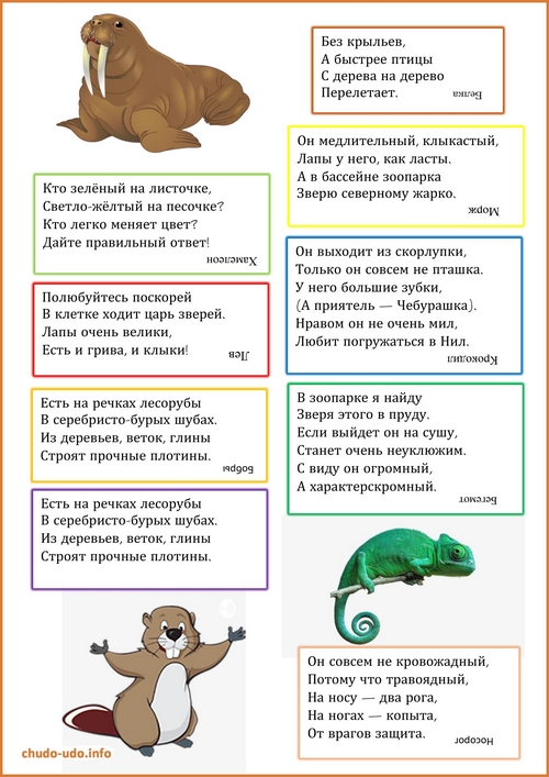 Загадки про животных для детей