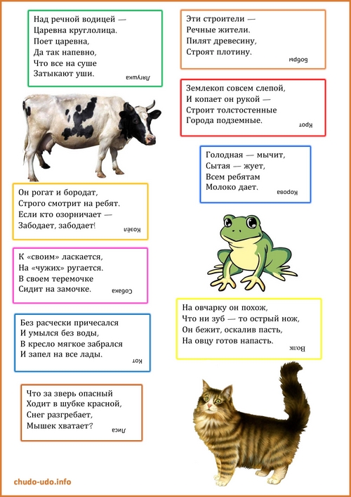 Загадки про животных для детей
