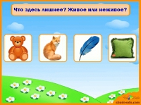 Развивающие игры &quot;Найди лишнее&quot; для детей от 4 до 6 лет