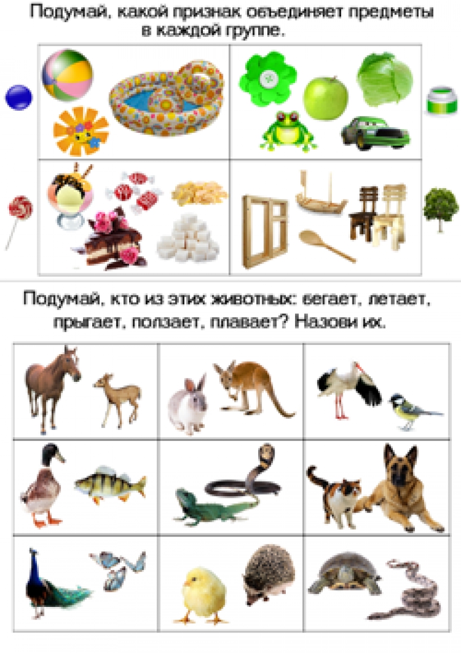 Логические задания &quot;Признаки предметов - Окружающий мир&quot;