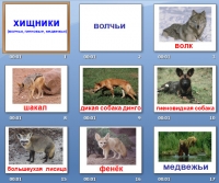 презентация на тему животные хищники
