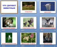 презентация животные