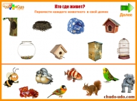 игра кто где живет