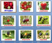 презентация ягоды