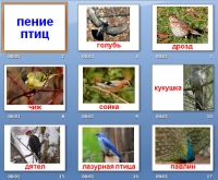 звуки пения птиц