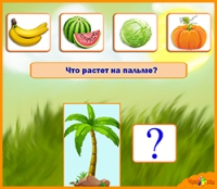 Познавательная игра - Что где растет