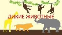 Развивающий мультфильм - Звуки диких животных
