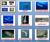 презентация морские рыбы