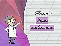 Укусы животных