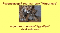 развивающие тесты для детей