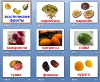 презентация на тему фрукты экзотические
