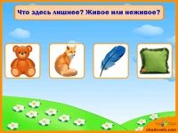 Живое-неживое - Играть