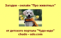 Загадки онлайн &quot;Загадки для детей про животных&quot;