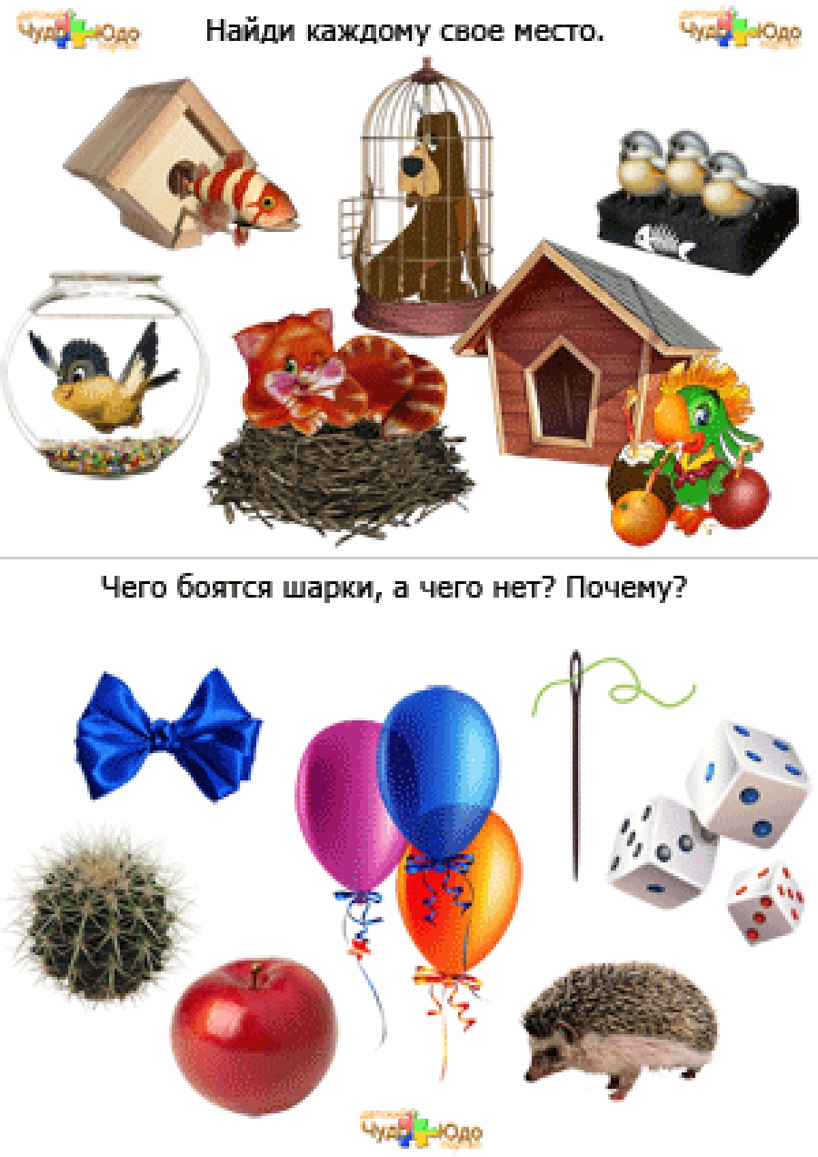 Веселые логические задачи для детей