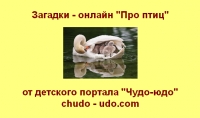 Загадки онлайн &quot;Про птиц&quot;