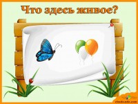 Развивающая игра &quot;Живой и неживой мир&quot;