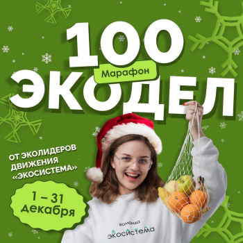 Сделайте 100 экодел до Нового года!