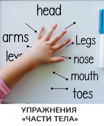 Изучаем английские слова на тему: виды транспорта