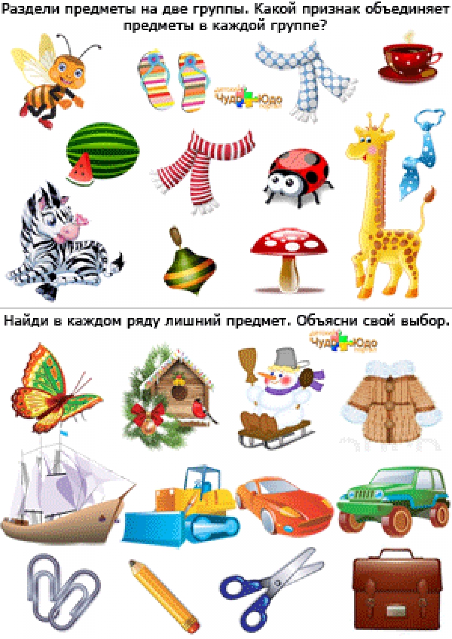 Какой признак объединяет предметы