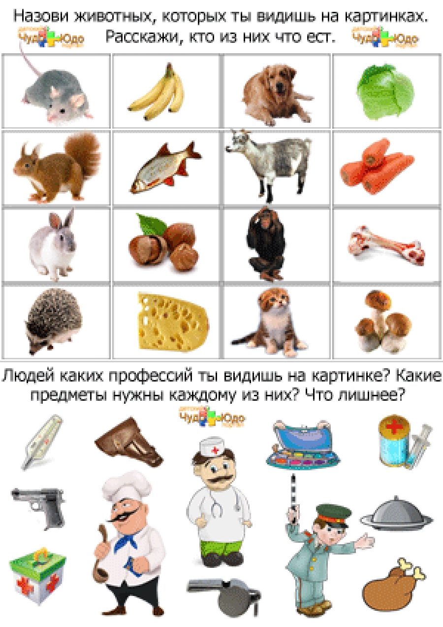 Логические задачи про животных и профессии