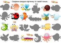 Найди тень картинки и соедини