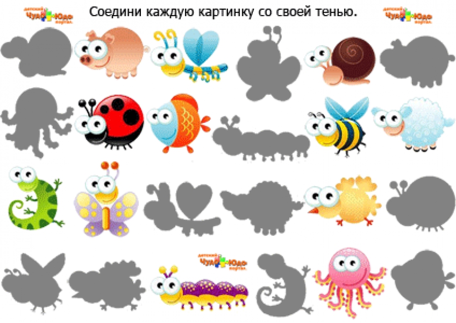 Найди тени картинок