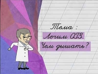 Лечим ОРЗ. Чем дышать?