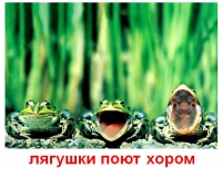 презентация на тему животные смешные